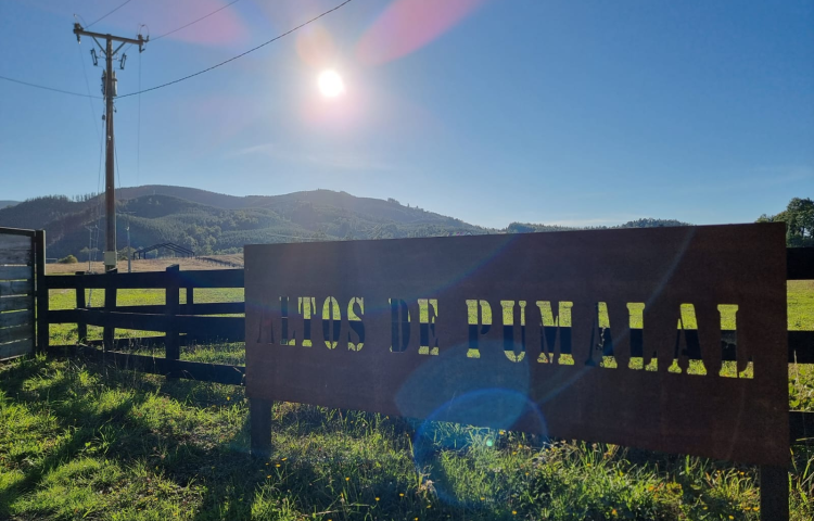 01JRZM818FVEVN816AHEF3QHGT